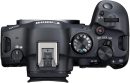 Canon 佳能 EOS R6 Mark II 無反光鏡相機(僅限機身),全片幅相機,2,420 萬像素 CMOS 感應器,照片和視頻功能,黑色