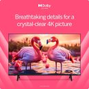 VIZIO 43 吋 4K UHD LED 智慧型電視,附杜比 Vision HDR,DTS Virtual:X,Alexa 相容性,內建 Chromecast ,藍牙耳機功能(V4K43M-08)(翻新)